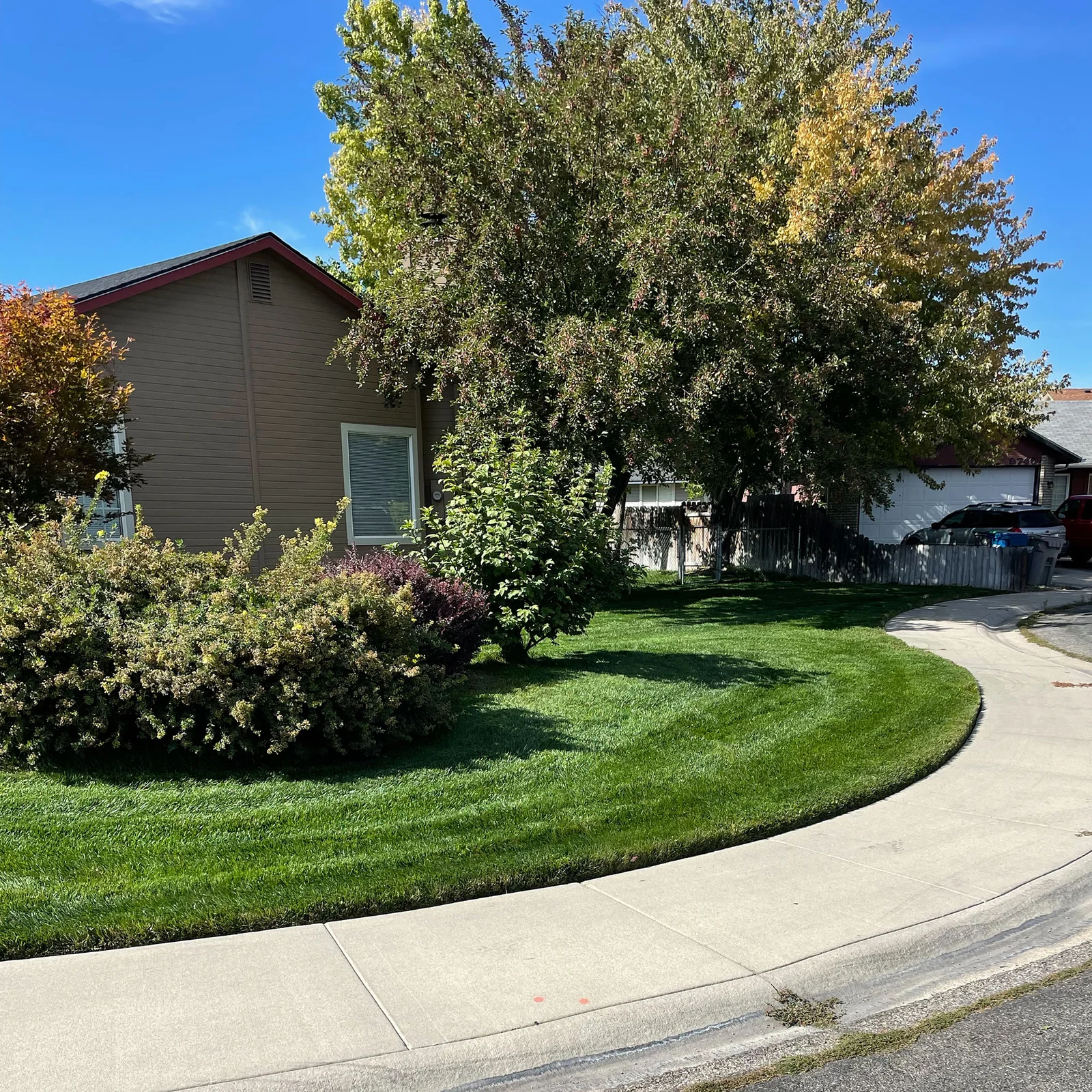 Photo 2 of 4